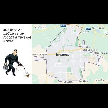клининг токмок: Дезинфекциялоо, дезинсекциялоо, | Бак-дарактарды дарылоо, Таракандар, Бүргөлөр, | Офистер, Подъезддер, Унаа — 2