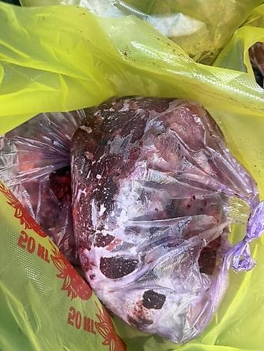 авган кой: Мясо для собак до 200 кг могу собрать Цена 170 сом килограмм — 3