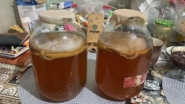 молочный гриб: Домашний комбуча (чайный гриб) в банках 3 л - Напиток натуральной — 2