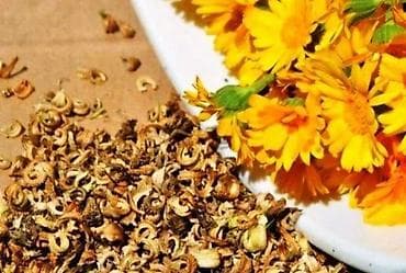 Календула семена (в Пригородном ) Рассада календулы