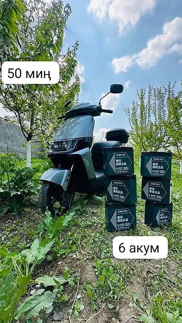 20 лет: Свинцово‑кислотный аккумулятор 6‑DZF‑20 (12V 20Ah) - Тип: тяговый — 2