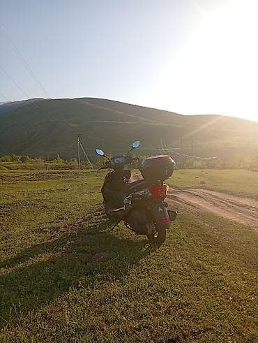 Скутеры: Тип скутера M8, 125 куб. см, Бензин — 2