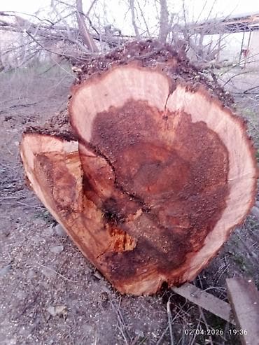 эл генератор: Кара бак — 1