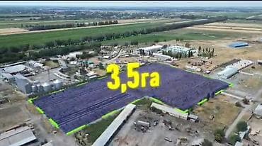 парикмахер на выезд: 350 соток, Для бизнеса, Красная книга — 6