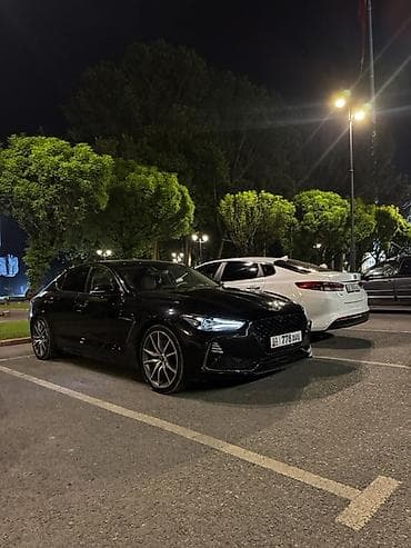 Hyundai Genesis: 2018 г., 2 л, Автомат, Бензин, Седан