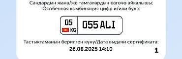 Индивидуальный автомобильный номерной знак с особой комбинацией: 055