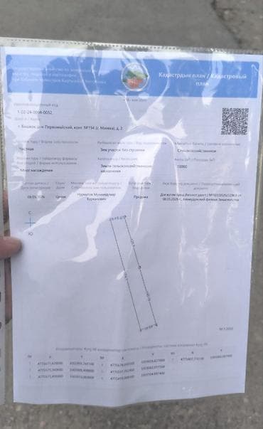 бизнес работа: Плодовый сад/участок под садоводство - Ухоженные ряды молодых — 5