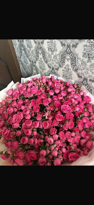продаю роза: Пышный букет из кустовых роз ярко-розового оттенка.Mono Safyia 50 шт — 1