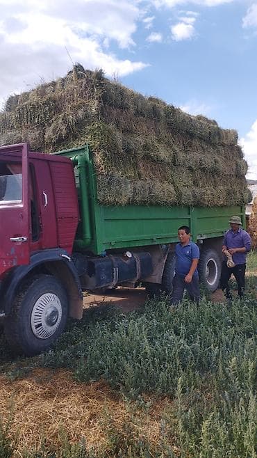 кун свет: КАМАЗ бортовой, 6x4 Описание: - Кузов самосвальный, борта — 8