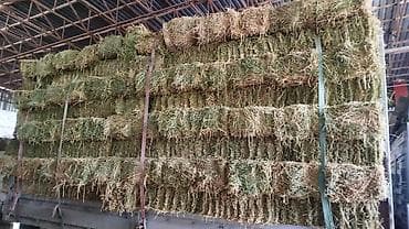 денежные ящики: Сено в тюках - Тюковое сено из злаково-бобовой смеси, спрессованное в — 1