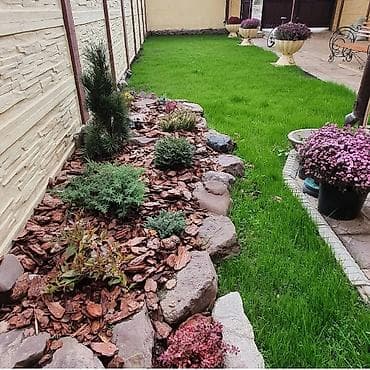 услуги косилки: Сеем газон под ключ,косимобработка газона хвойных всех видов — 1