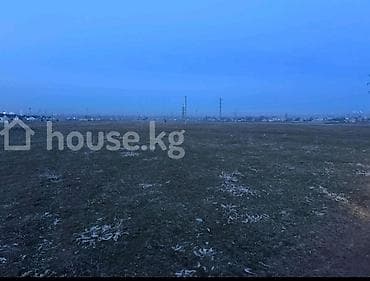 ата журт п: 65 соток, Бизнес үчүн, Кызыл китеп — 7