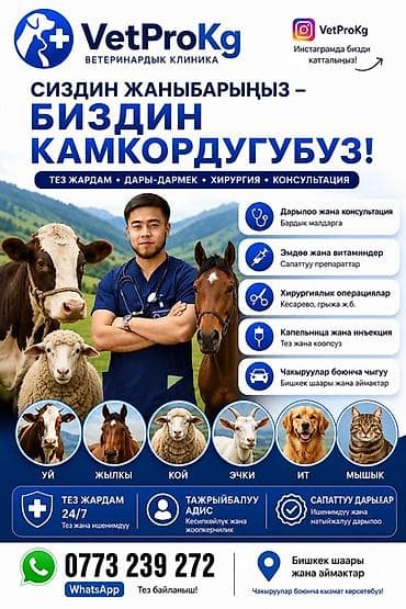 Услуги ветеринара: 🐄 VetProKg ✔️ Тажрыйбалуу адис ✔️ Чакыруу менен чыгуу ✔️ — 1