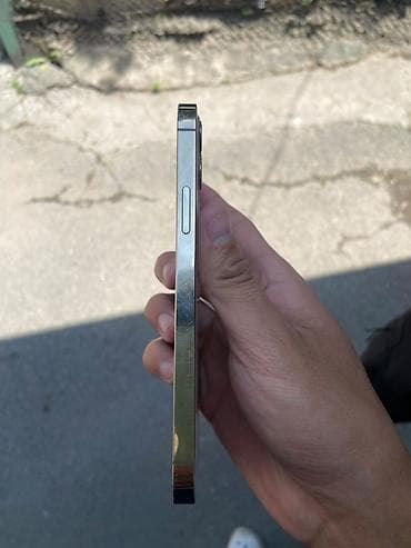 камера с сим картой и датчиком движения: IPhone 12 Pro, Золотой — 3