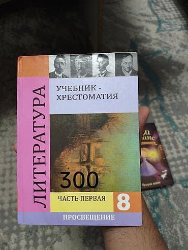 third edition solution: Книги. 1) Холли Вебб «Мейзи Хитчинс. Призрак кошки». Серия — 2