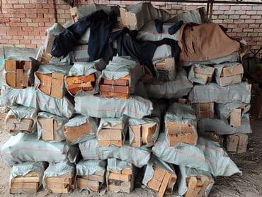 купить туи в бишкеке: Дрова Сосна, Бесплатная доставка — 1