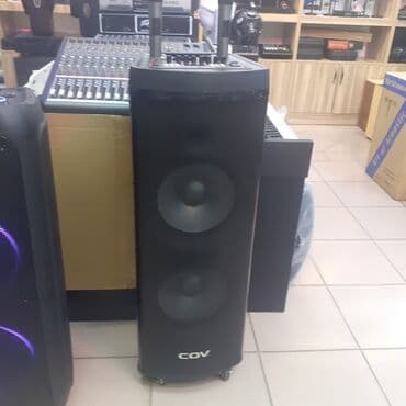 той калонка: Калонка арендага берилет. 100 ват 30 кишилик суткасына 120 ват — 9