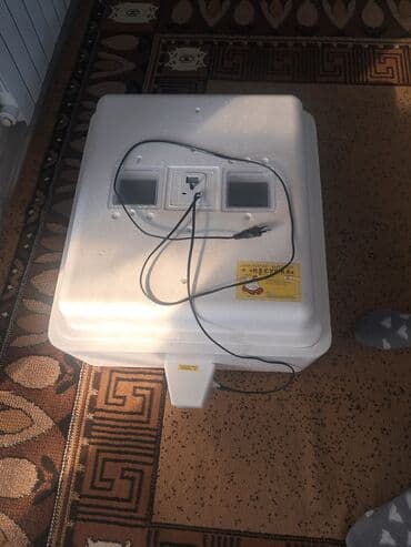 оборудование для производства пенобетона: Инкубатор бытовой «Несушка» - Материал корпуса: пенополистирол — 1