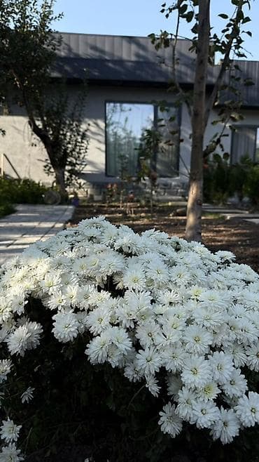 Продаю Дачу в Арашане,снт Электрик,уч 5.8 сот.Дача на 2 хозяинадва