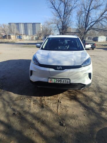 Электромобиль (белый, кроссовер) Основные характеристики и