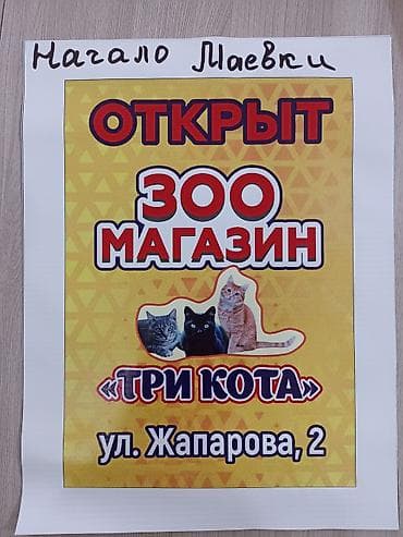 сухой корм для кошек бишкек: ?агазин «Три кота» — открыт! Что вас ждёт: - Товары для домашних — 1