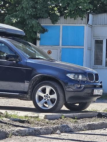 фарко: BMW X5: 2006 г., 3 л, Автомат, Дизель, Кроссовер — 10