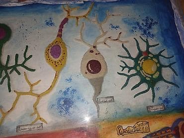 круглые магниты: Набор настенных учебных таблиц “Types of Cells” (англ. язык) — серия — 5
