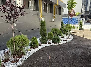 Кыймылсыз мүлк: 3 бөлмө, 92 м², Туңгуч мкр Элитка, 11 кабат — 10
