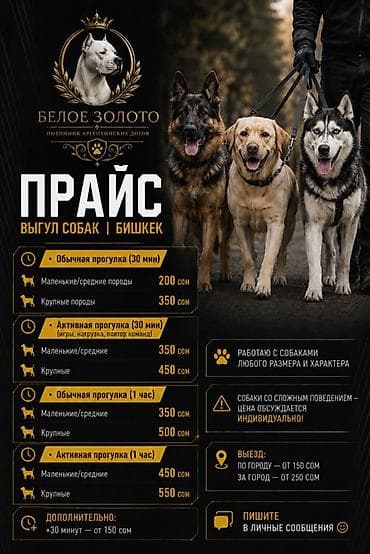 выгул собак: 🐾 • профессиональный выгул собак | питомник «белое золото» | бишкек • — 1