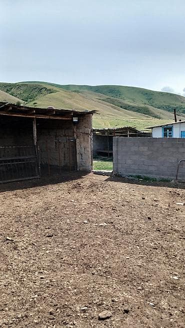 уй сатык: Кой короо, 100 соток, Иштеп жаткан, Скважина, Электр энергиясы — 10