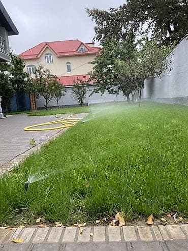 Газон: Газон себебиз, жеткиликтүү жана ыңгайлуу бада ✅ автополив коёбуз🚰 — 2