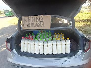султан чай 2.0: Кымыз (Саамал) 100% таза доставка по городу выше 5литров бесплатно — 3