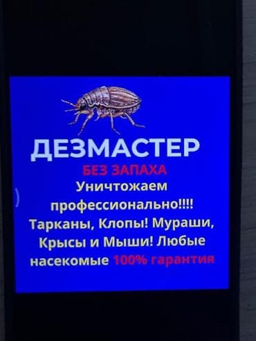 крематорий для животных бишкек: ДезМастер — профессиональная дезинсекция и дератизация без запаха — 3