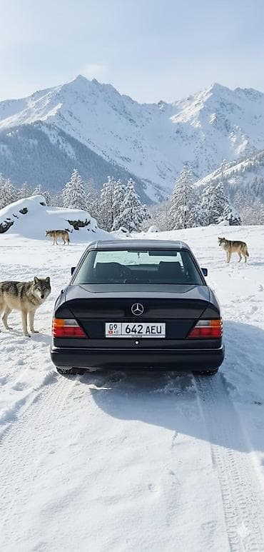тнвд 1 9: Mercedes-Benz W124: 1991 г., Седан — 3