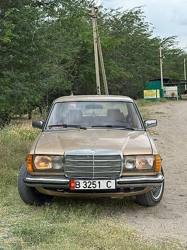 1 g fe: Mercedes-Benz W123: 1981 г., 2.8 л, Механика, Бензин, Седан — 1