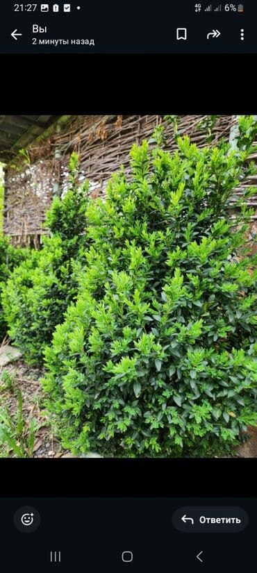 сушилка для белья электрическая бишкек: Башка хозтоварлар — 8