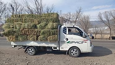 e 30 bmw: Легкий грузовик, Hyundai — 8