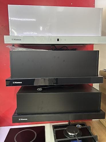 вытяжка для тандыра: Вытяжки кухонные Hansa (встраиваемые/выдвижные) - Форм‑фактор — 1