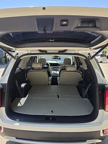 капитан: Hyundai Palisade: 2020 г., 2.2 л, Автомат, Дизель, Кроссовер — 8
