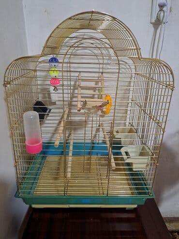 акустические системы atrix колонка в виде собак: Продаю клетку. Высота 70см.Ширина 50*40см.б/у. В хорошем состоянии — 4