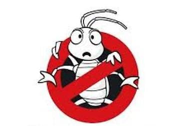 травим тараканов: Дезинфекция, дезинсекция, | Клопы, Блохи, Тараканы, | Транспорт, Офисы, Квартиры — 1