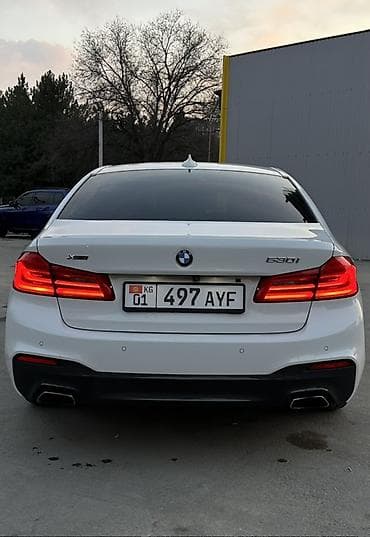 х5 м: BMW 5 series: 2019 г., 2 л, Автомат, Бензин, Седан — 7