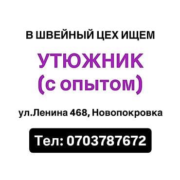 водитель с личным автомобилем: Гладильщик — 1