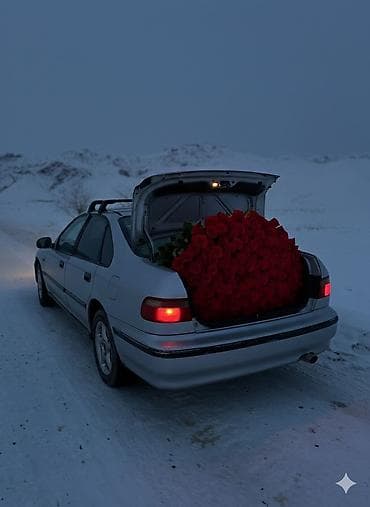 сигнал на авто: Honda Accord: 1998 г., 1.8 л, Механика, Бензин, Седан — 9