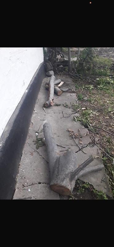 Дрова