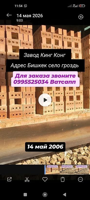 купить комнатные цветы в бишкеке: Пустотелый, дырчатый, Жженый кирпич, Полублок, 250×120×90 — 4