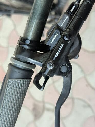 купить трехколесный электровелосипед для взрослых бу: Из Германии — 11