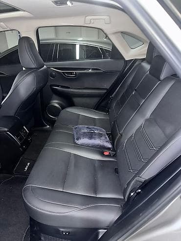 гранаты лексус: Lexus NX: 2020 г., Гибрид, Кроссовер — 9