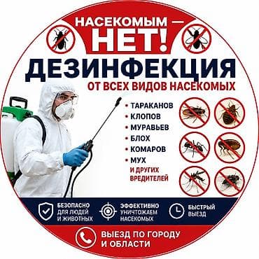 от мух: Профессиональная дезинсекция от любых насекомых Услуга направлена на — 1