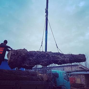 9 c: Стрела 8 м, 3 т, Борт 9000 кг — 6